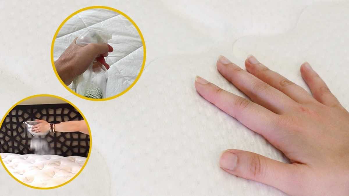 8 schnelle DIY-Tricks zum Entfernen von Flecken, Desinfizieren und Parfümieren einer Matratze