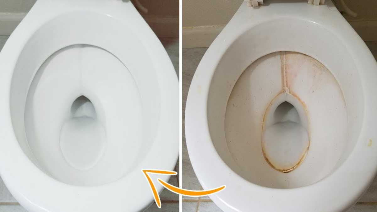Extra sauberes WC: Beseitigt gelbe Flecken und Kalkablagerungen, desinfiziert und parfümiert mit 1 Inhaltsstoff