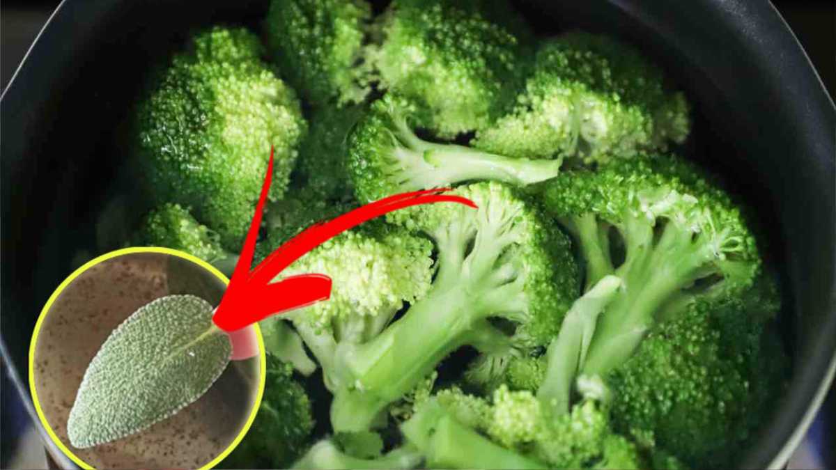 Brokkoli riecht, wenn man das beim Kochen macht, löst man dieses lästige Problem