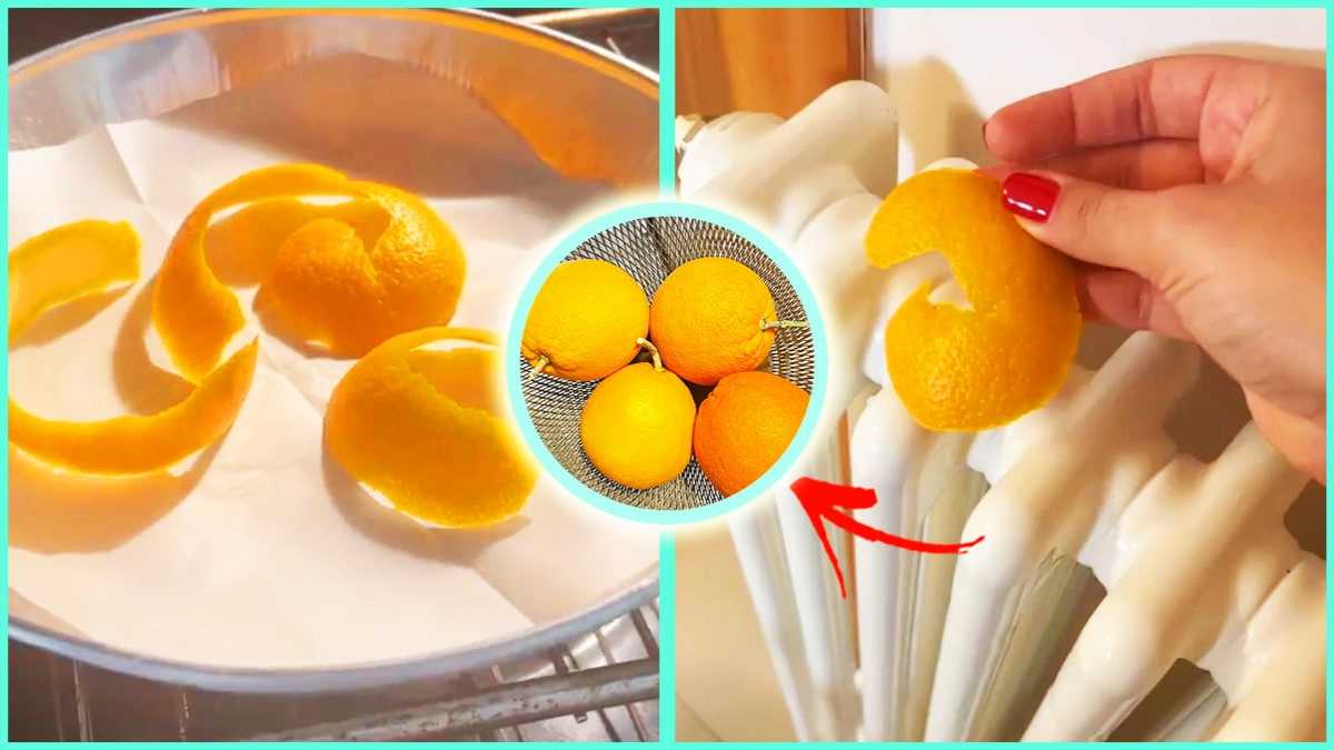 Orangenschalen nicht wegwerfen: So kannst du sie weiterverwenden