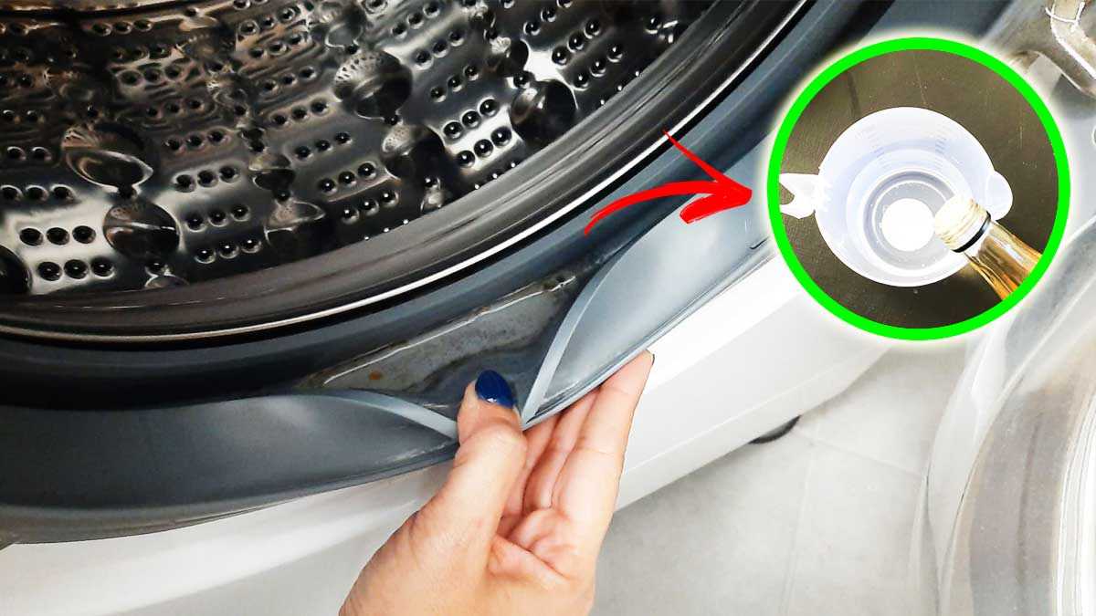 Schimmel von der Waschmaschine-Gummi entfernen