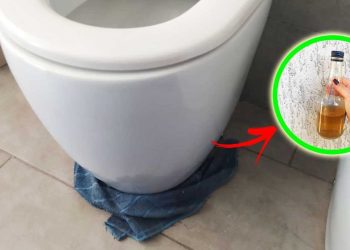 Toilette unter dem Rand reinigen