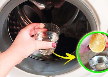 Wäsche waschen mit Zitrone funktioniert wirklich