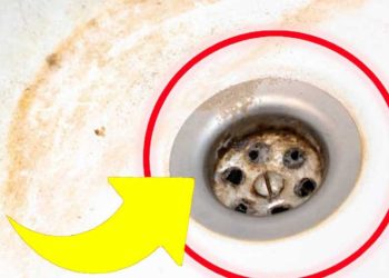 was hilft gegen schimmel im waschbecken?