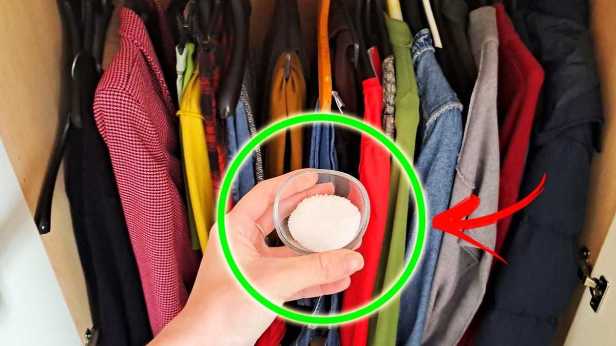 Muffiger Geruch im Kleiderschrank: Mit diesen Tipps werden Sie ihn wieder los