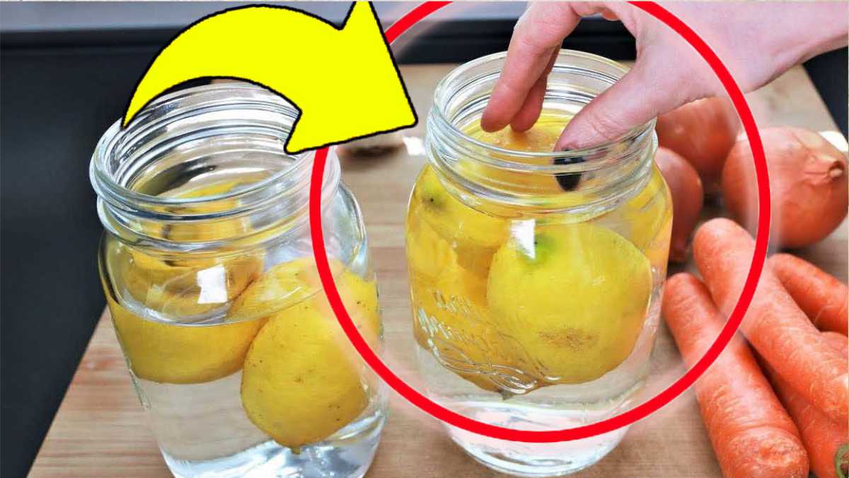 Warum Sie Zitronen immer in Wasser legen sollten