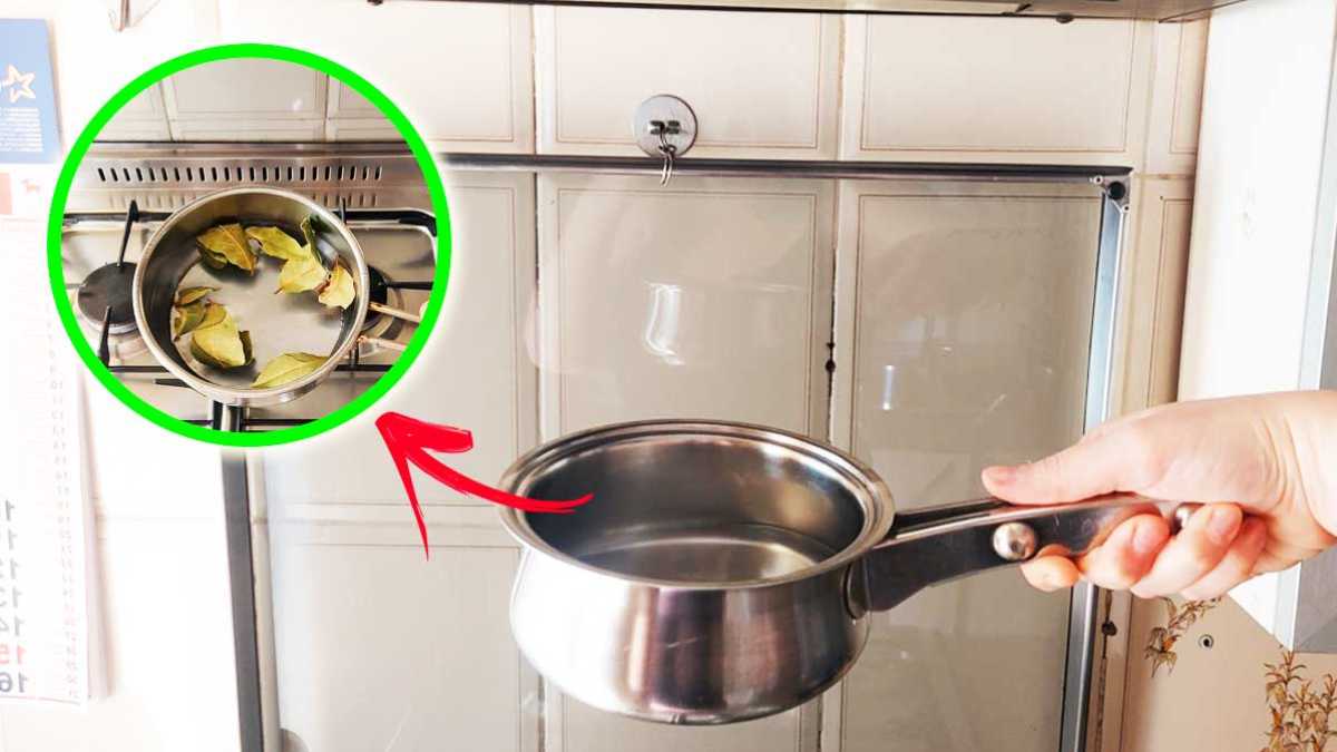 Wie Sie Küchengerüche beseitigen können