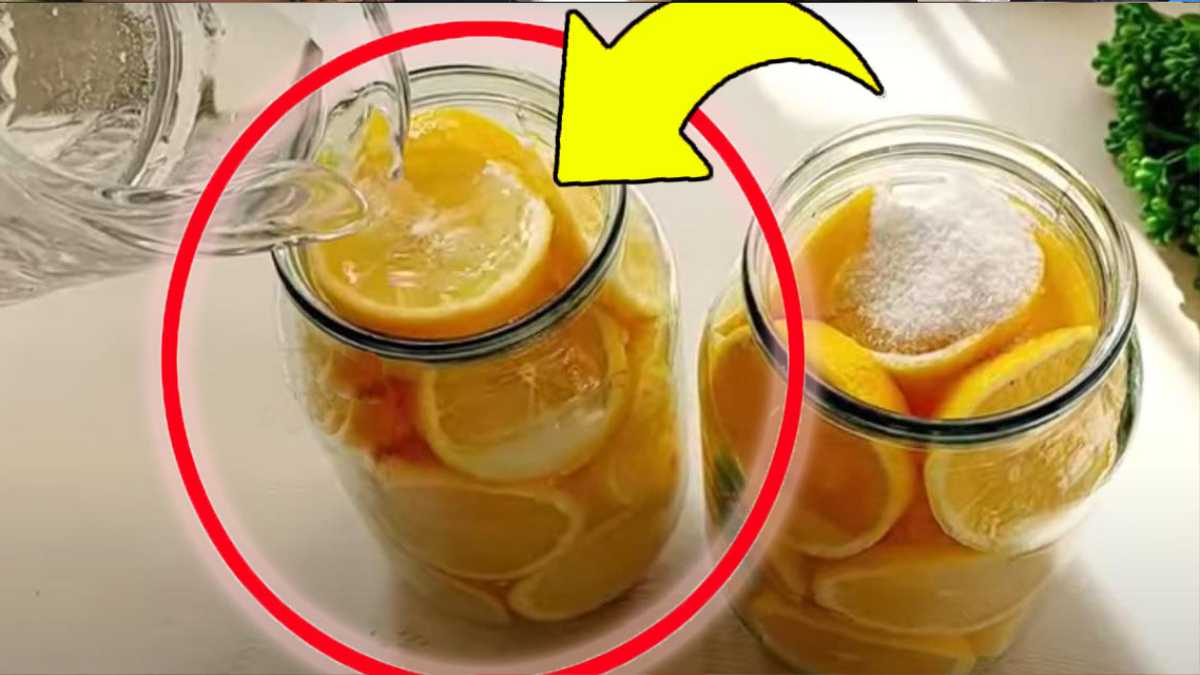 Zitronen, mit diesem Trick können Sie sie 5-6 Monate aufbewahren: noch frischer und saftiger | Go for it!