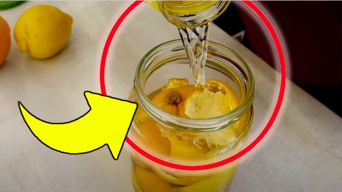 Zitronen- und Orangenschalen, werfen Sie sie nicht weg: Sie sind "Gold wert" | Legen Sie sie in Essig in ein Glas!