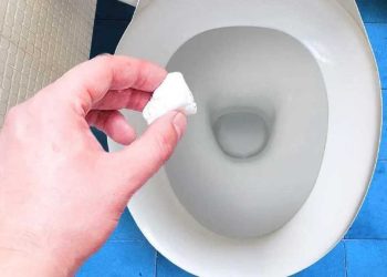 WC-Tabs selber machen mit einfachen Hausmitteln